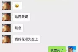 龙凤讨债公司